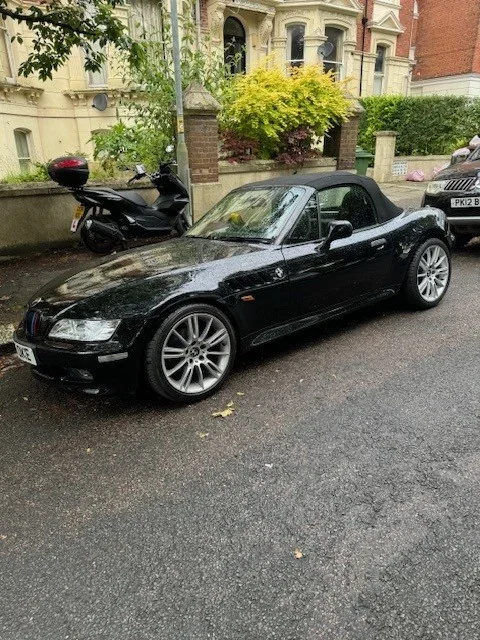 z31.webp